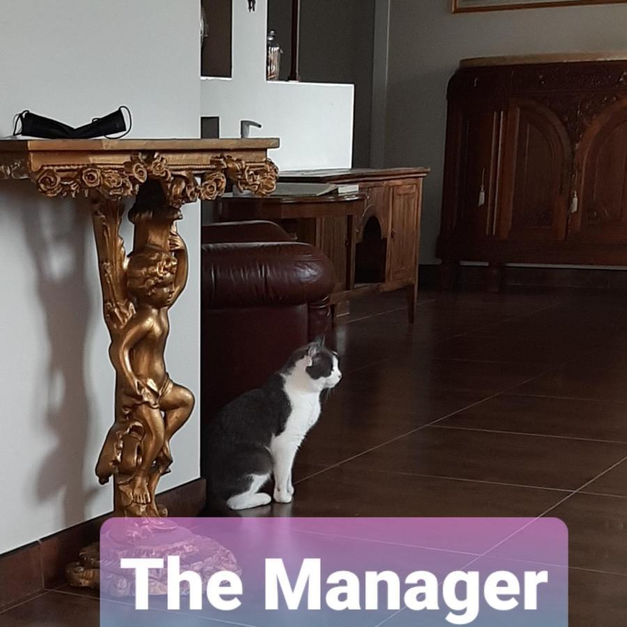 B&B La Fenice Sul Lago Villongo SantʼAlessandro Dış mekan fotoğraf